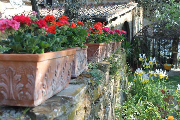 Casa Mezzuola Agriturismo-Fiori